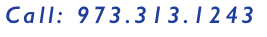 Call: 973.313.1243